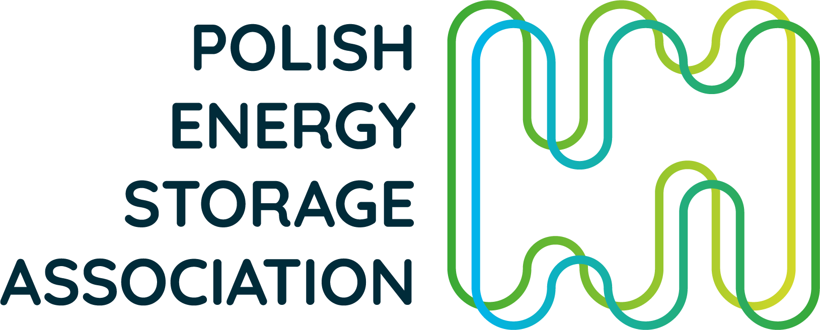 Polish Energy Storage Association – PESA Speaker at Renewable Energy Revenues Summit USA Polish Energy Storage Association – PESA Speaker at Renewable Energy Revenues Summit USA